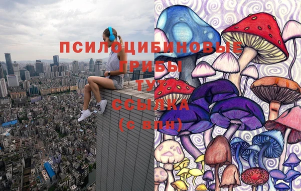 соль курить ск Богданович