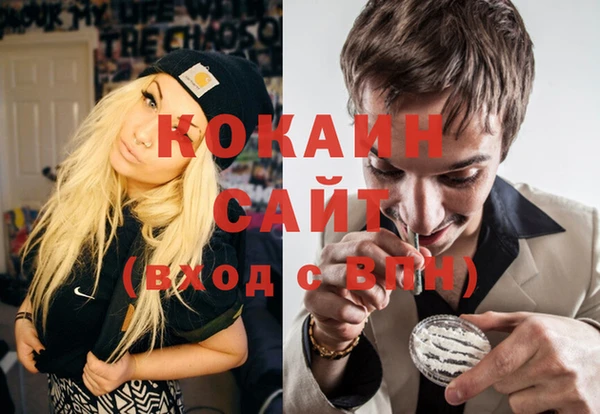 mix Богородицк