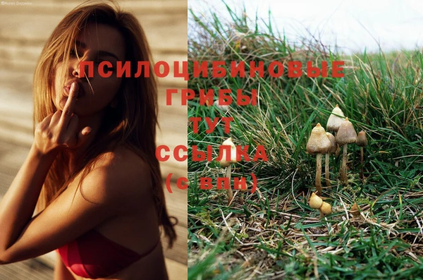 каннабис Богородск