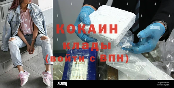 mix Богородицк